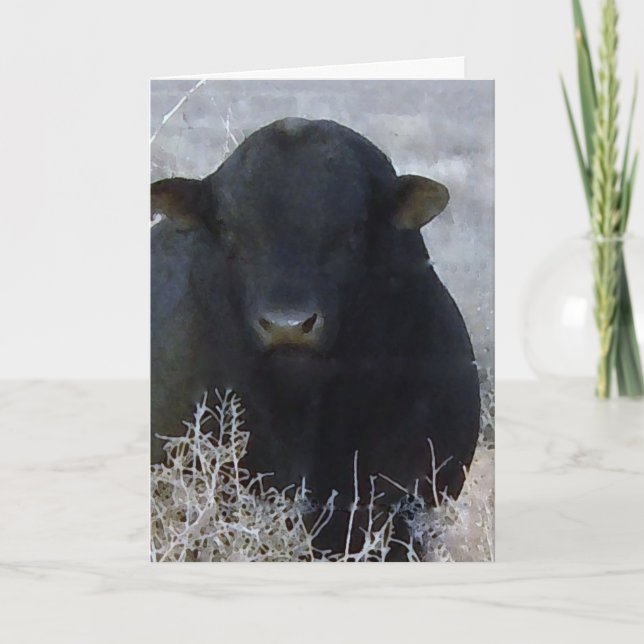 Niedlicher Abschluss Glückwunsch Ranch Farm Bull Karte (Vorderseite)