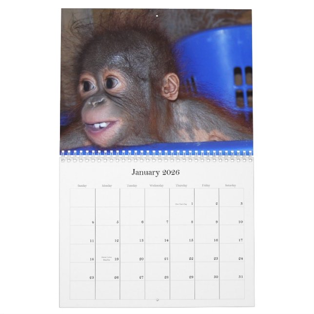 Niedlicher Affen-Tier-Baby-Kalender Kalender (Jan 2026)