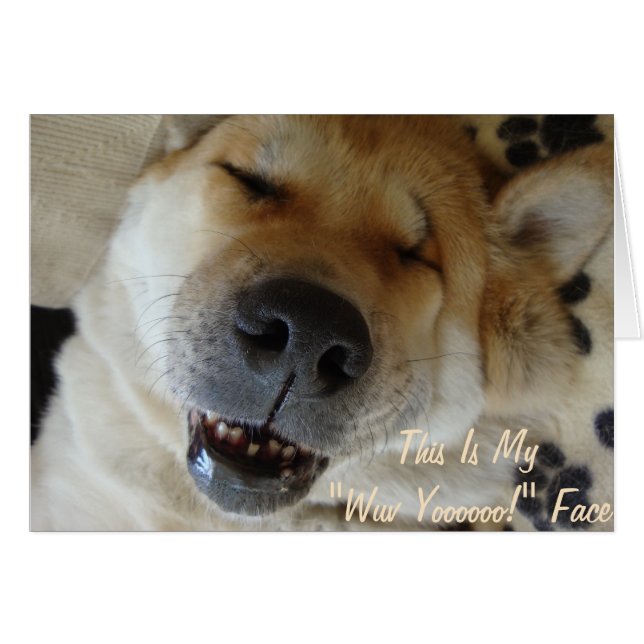 niedlicher akita eingeschlafen lächelnde Hunde lus (Vorderseite (Horizontal))