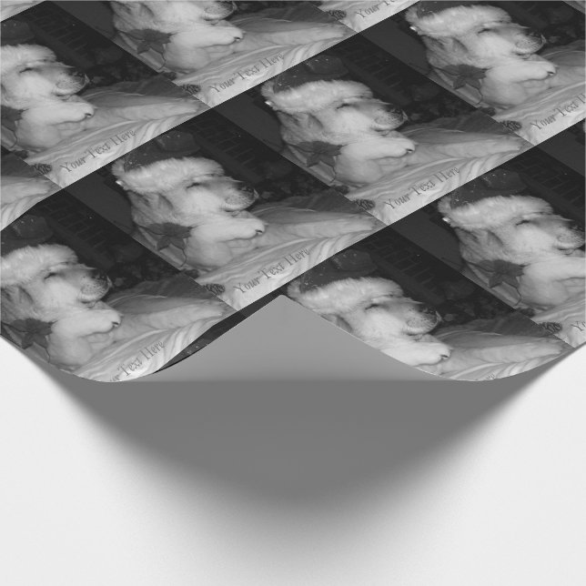 Niedlicher Akita-Hund, der Geschenkpapier (Ecke)