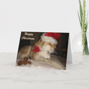 Niedlicher Akita Hund, der Pfoten Weihnachtsmannmü Feiertagskarte