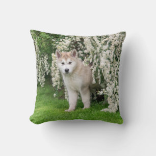 Niedlicher Alaskan Malamute Dog Welpe in Blume Fot Kissen