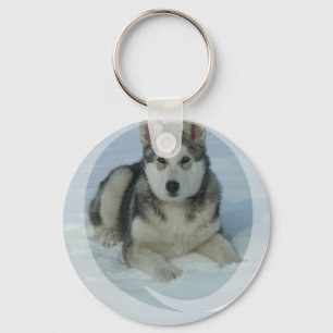 Niedlicher alaskischer Malamute Schlüsselanhänger
