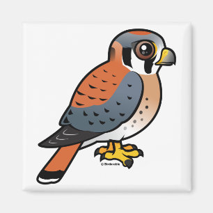Niedlicher amerikanischer Kestrel Magnet