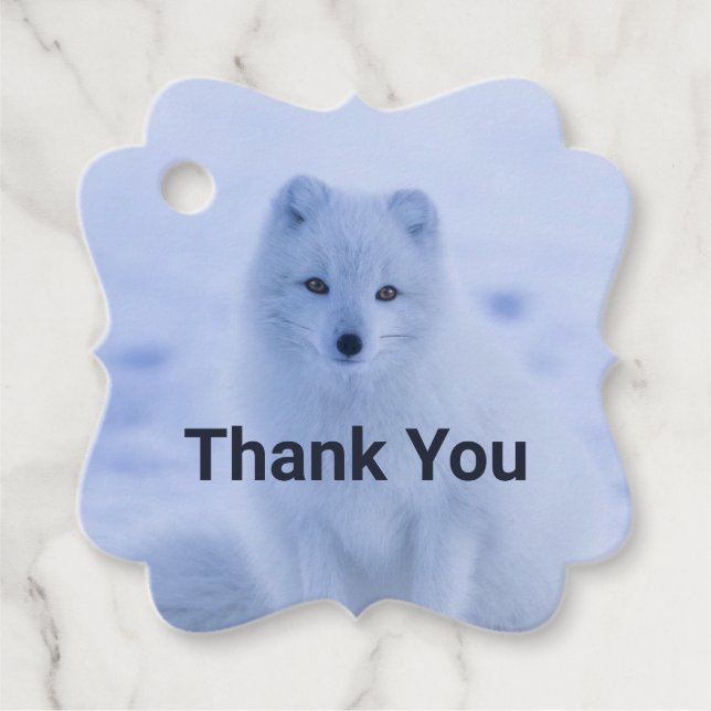 Niedlicher arktischer Fox auf Schnee Danke Geschenkanhänger (Vorderseite)