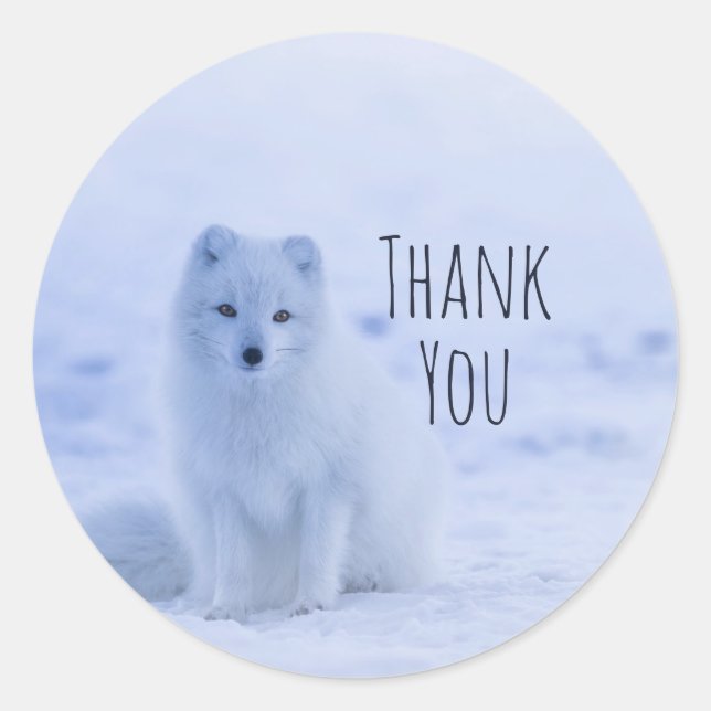 Niedlicher arktischer Fox auf Schnee Danke Runder Aufkleber (Vorderseite)