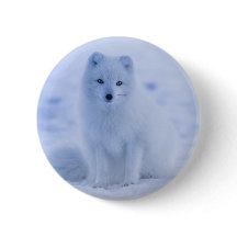 Niedlicher arktischer Fox im Hintergrund des schne