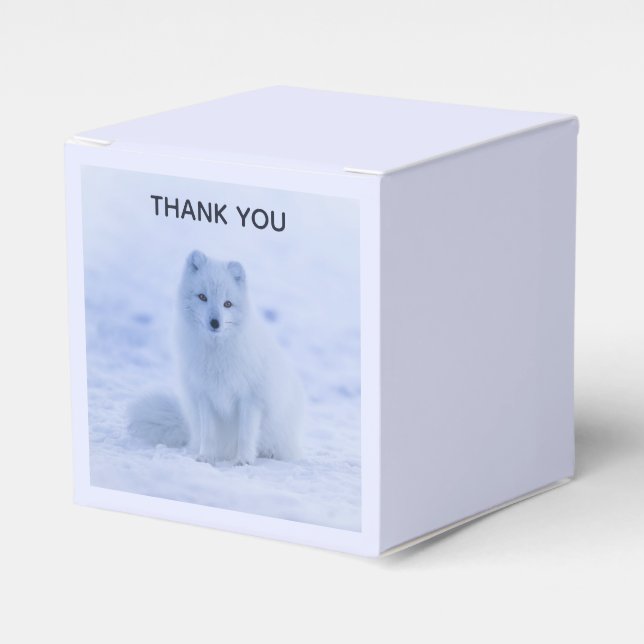 Niedlicher arktischer Fox im Hintergrund des schne Geschenkschachtel (Vorderseite)