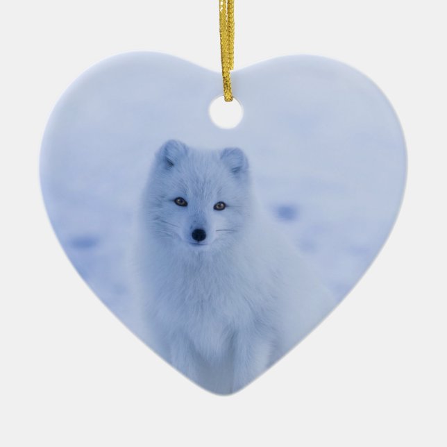 Niedlicher arktischer Fox im Hintergrund des schne Keramik Ornament (Vorne)