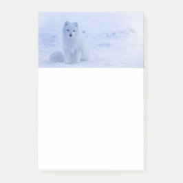Niedlicher arktischer Fox im Hintergrund des schne Post-it Klebezettel