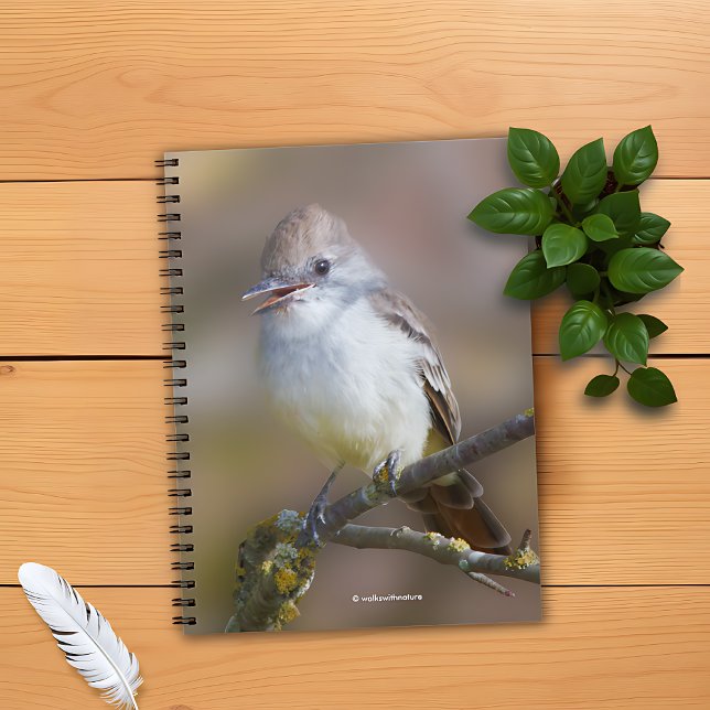 Niedlicher ash-gethroter Flycatcher-Songbird am Zw Notizblock (WWN Ash-Throated Flycatcher on Branch Notebook Cover Photo)