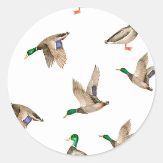 Niedlicher Aufkleber für die Einladung von Enten