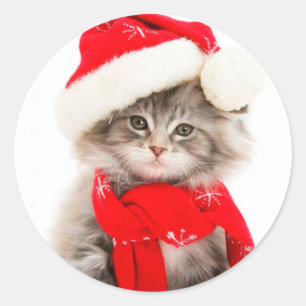 Niedlicher Aufkleber für die Santa Kitty Classic