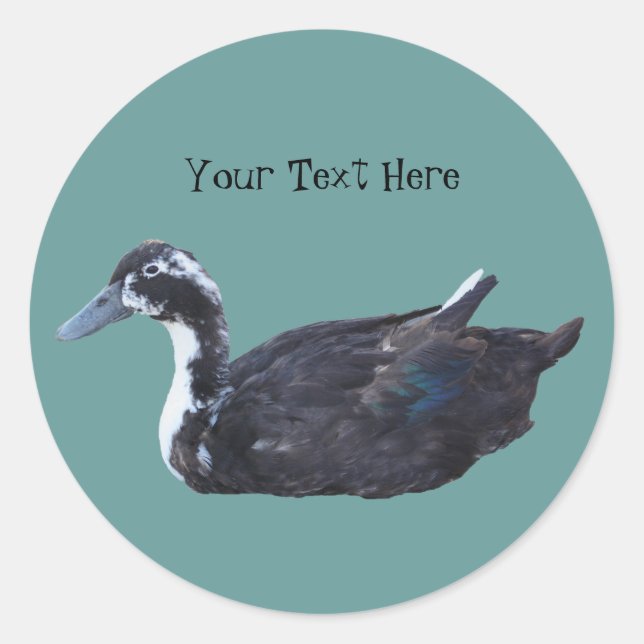 Niedlicher Aufkleber für Schwarze Enten (Vorderseite)