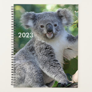 Niedlicher australischer Koala-Planer 2023 Planer
