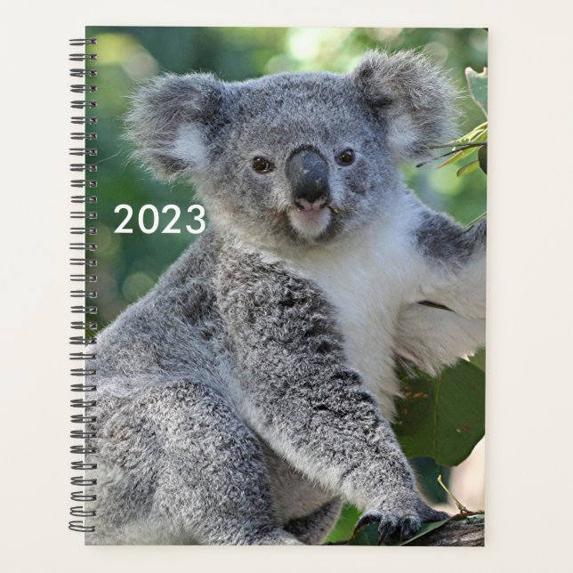 Niedlicher australischer Koala-Planer 2023 Planer (Vorderseite)