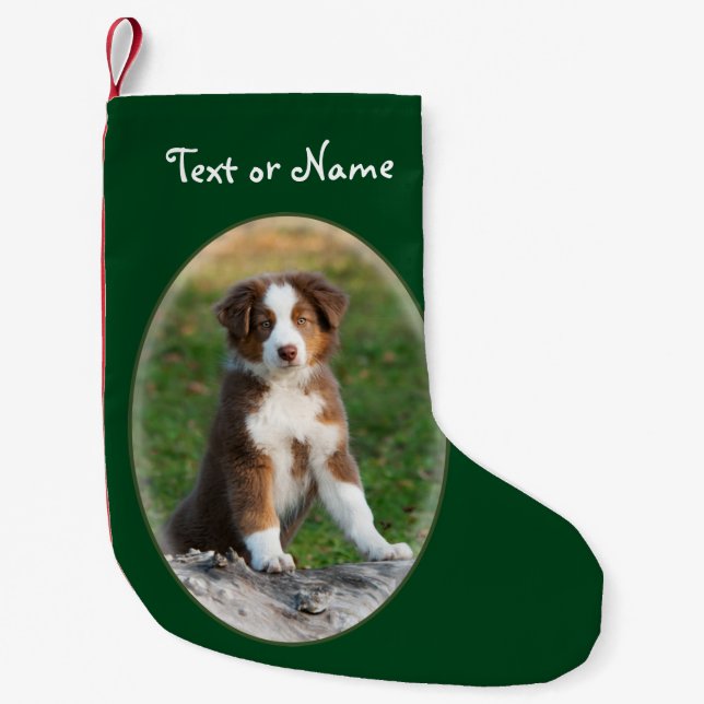 Niedlicher australischer Schäfer-Hund - Kleiner Weihnachtsstrumpf (Vorderseite)