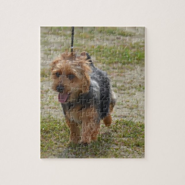 Niedlicher australischer Terrier (Vertikal)