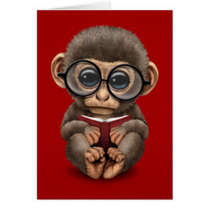 Niedlicher Baby-Affe, der ein Buch auf Rot liest