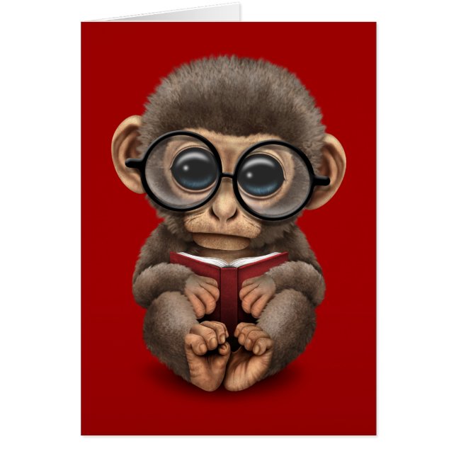 Niedlicher Baby-Affe, der ein Buch auf Rot liest (Vorne)