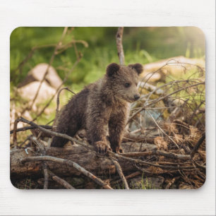 Niedlicher Baby-Bear in Holz Mousepad