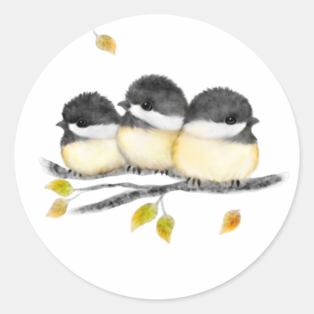 Niedlicher Baby Bird 3 Chickadee auf Baumzweig Runder Aufkleber (Vorderseite)