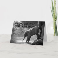 Niedlicher Baby Elephant Erste Schritte in Ihr Her