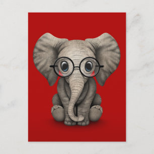 Niedlicher Baby Elephant mit Reading Glasses Red Postkarte
