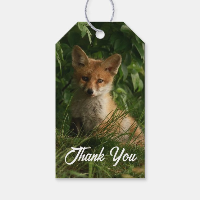 Niedlicher Baby Fox in einem grünen Wald Danke Geschenkanhänger (Vorderseite)