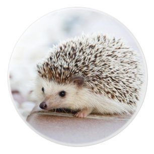 Niedlicher Baby-Igel Keramikknauf