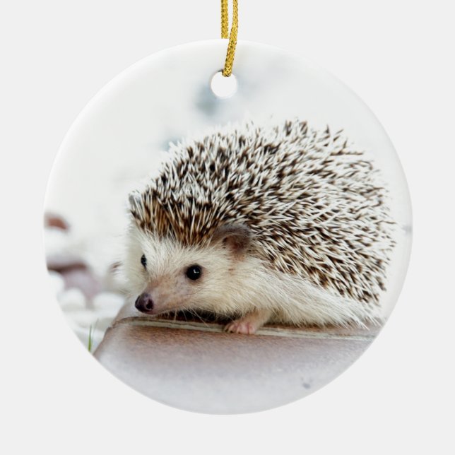 Niedlicher Baby-Igel Keramikornament (Vorne)