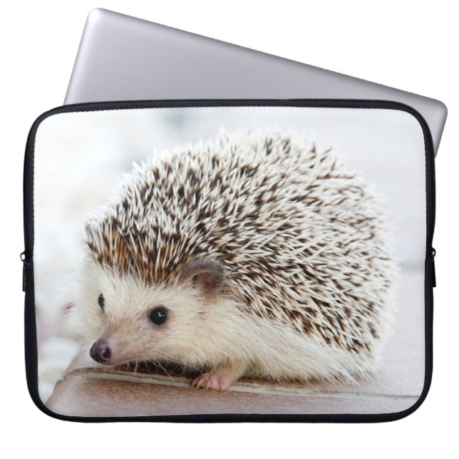 Niedlicher Baby-Igel Laptopschutzhülle (Vorderseite)