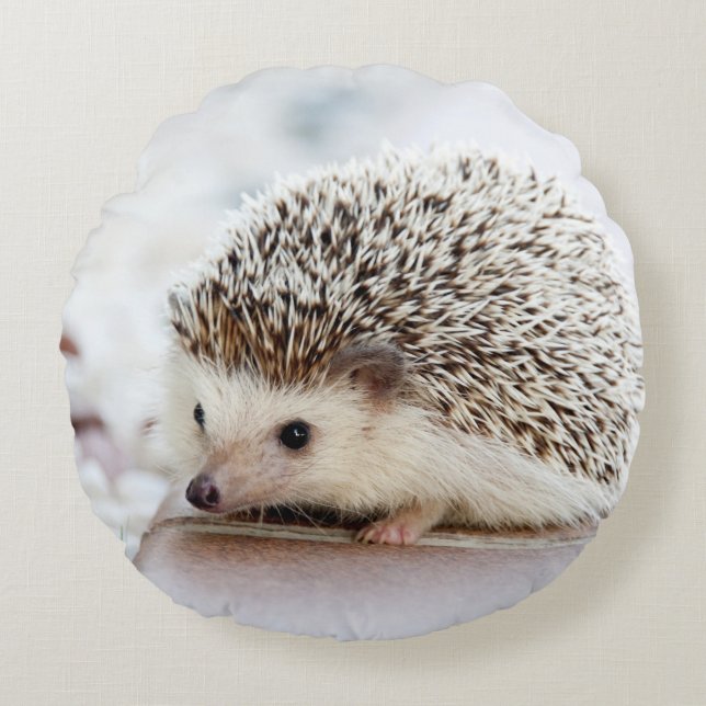 Niedlicher Baby-Igel Rundes Kissen (Vorderseite)