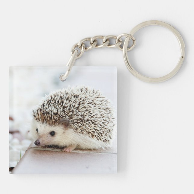 Niedlicher Baby-Igel Schlüsselanhänger (Rückseite)