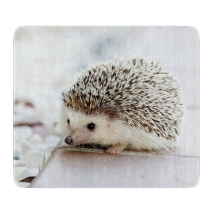 Niedlicher Baby-Igel Schneidebrett