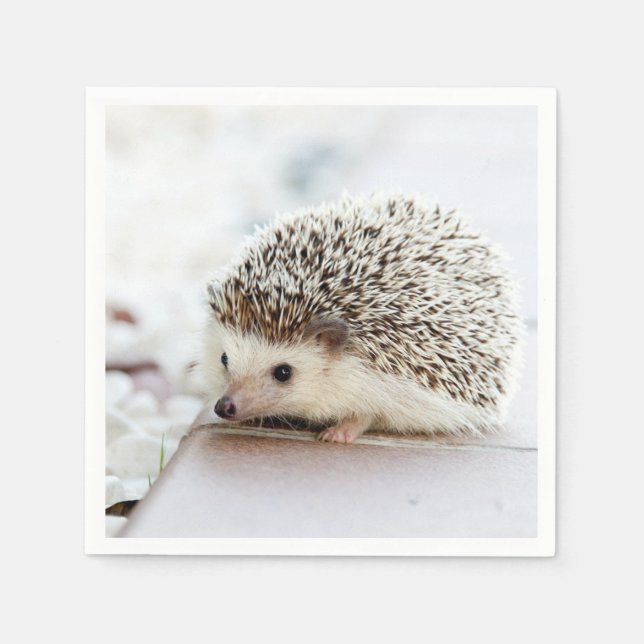 Niedlicher Baby-Igel Serviette (Vorderseite)