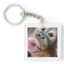 Niedlicher Baby-Orang-Utan Kuss