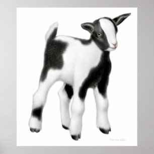 Niedlicher Baby-Ziegen-Druck Poster