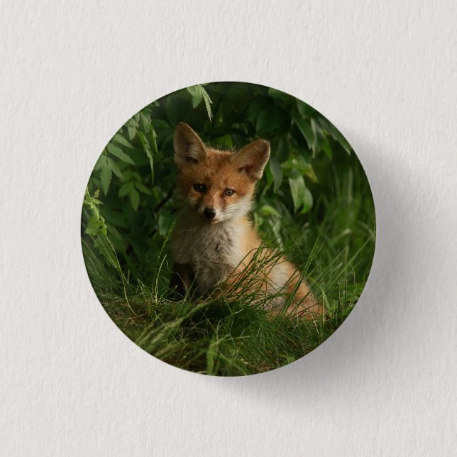 Niedlicher Babyfuchs in einem grünen Wald Button (Vorderseite)