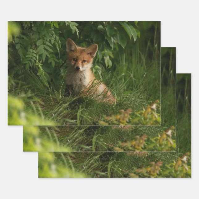 Niedlicher Babyfuchs in einem grünen Wald Geschenkpapier Set (Set)