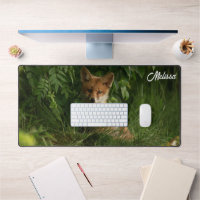 Niedlicher Babyfuchs in einem grünen Wald