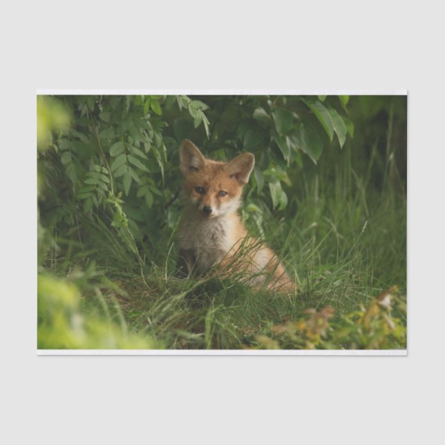 Niedlicher Babyfuchs in einem grünen Wald Seidenpapier (Vorderseite)