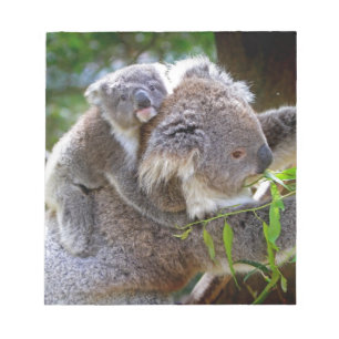 Niedlicher Babykoalabär mit Mamma in einem Baum Notizblock