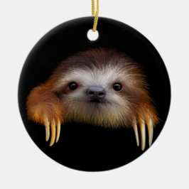 Niedlicher Babysloth-hängende Verzierung Keramik Ornament