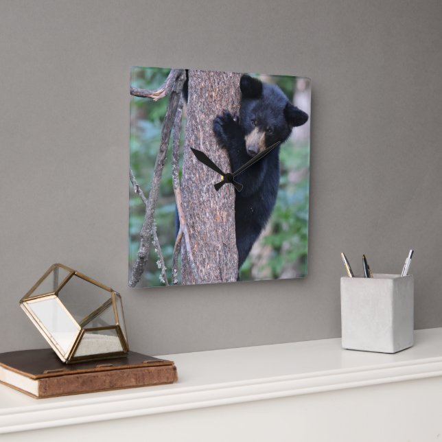 Niedlicher Bärenbaum oder Ihre eigene Foto-Ecke Quadratische Wanduhr (Büro)