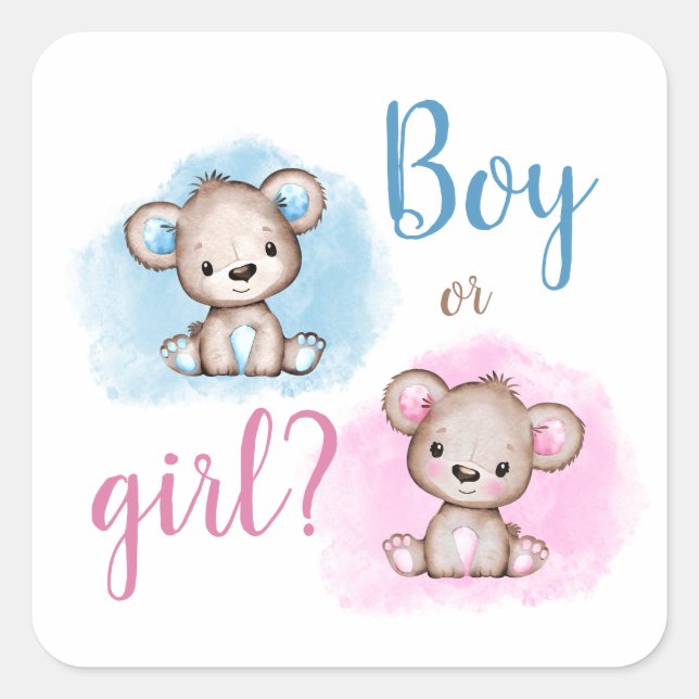 Niedlicher Bärenjunge oder weibliche Gender Reveal Quadratischer Aufkleber (Vorderseite)