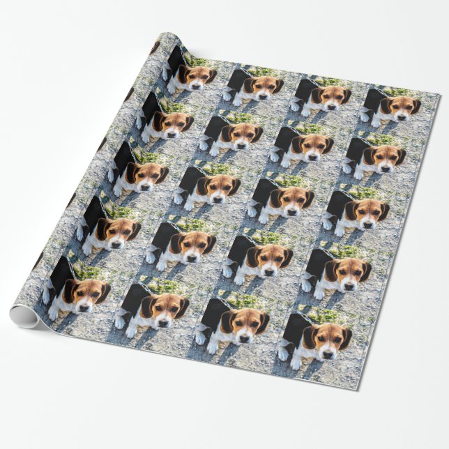 Niedlicher Beagle Geschenkpapier (Ungerollt)