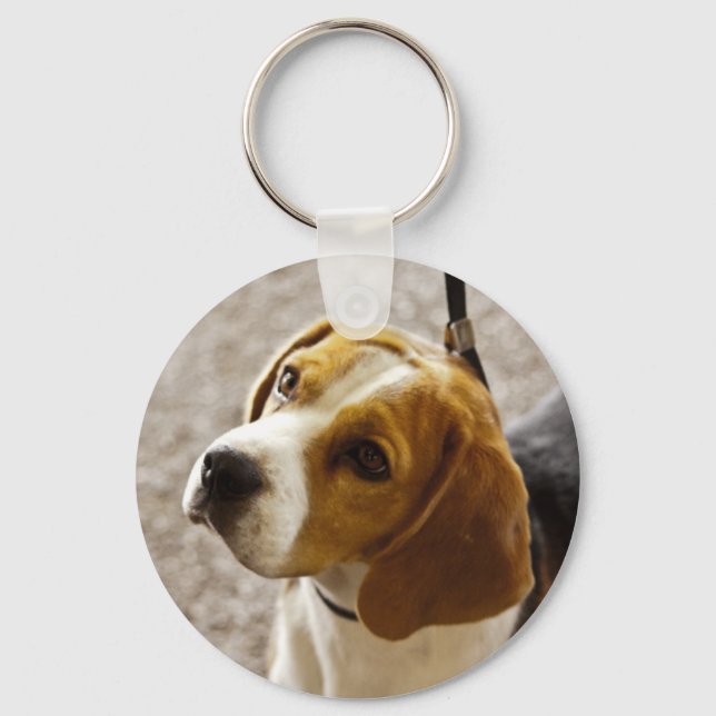 Niedlicher Beagle gewartet für Leckereien! Schlüsselanhänger (Vorderseite)