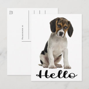 Niedlicher Beagle Hallo Funny Puppy Dog Denken Sie Postkarte