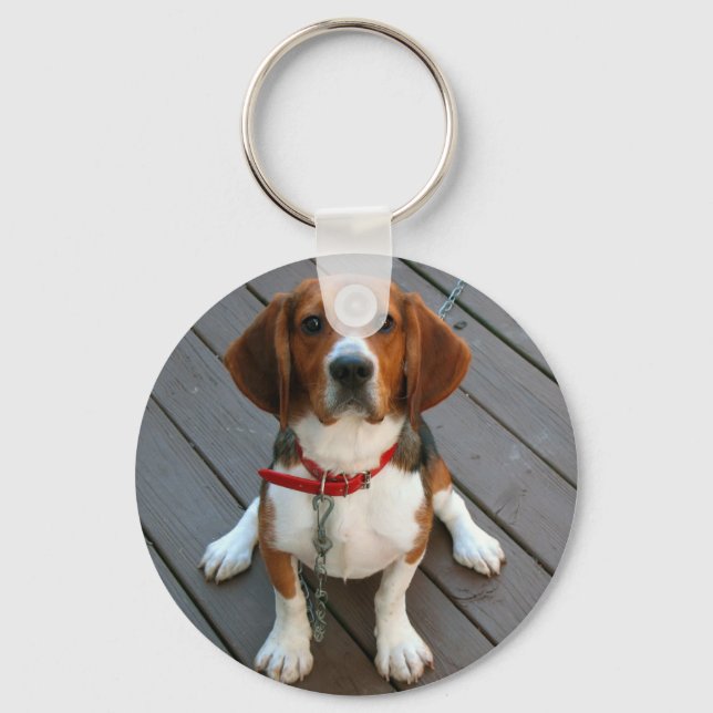 Niedlicher Beagle Hund je Schlüsselanhänger (Vorderseite)